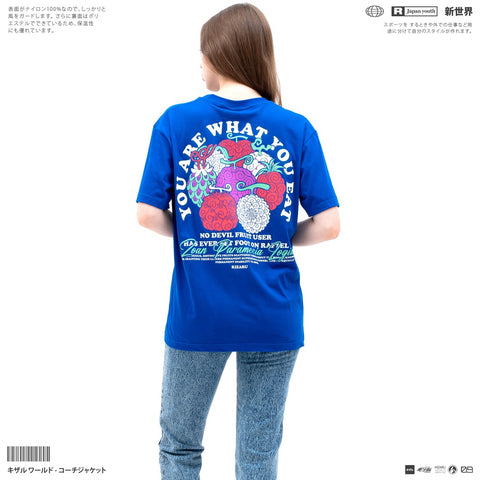 Japan Anime Short Sleeve T Shirt - One Piece DEVIL FRUIT | Japan Apparel | Zewearsy Store