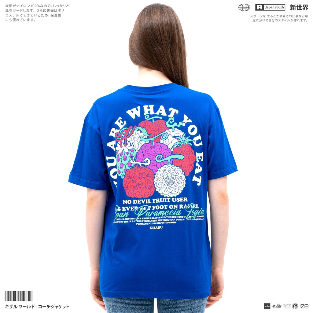 Japan Anime Short Sleeve T Shirt - One Piece DEVIL FRUIT | Japan Apparel | Zewearsy Store